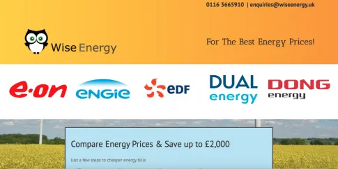 Wise Energy Website